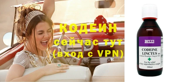индика Новозыбков