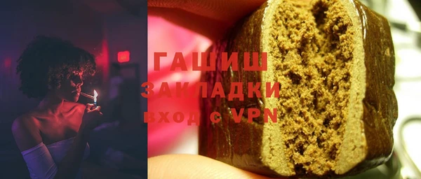 индика Новозыбков