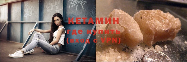 индика Новозыбков