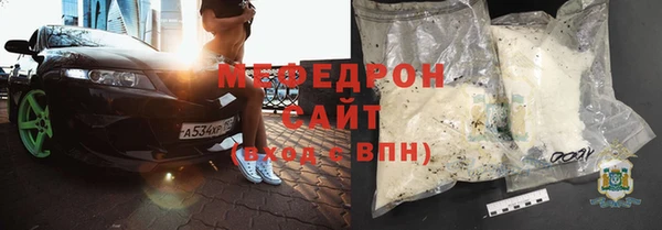 индика Новозыбков