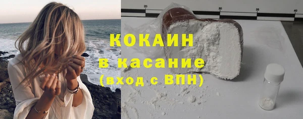 индика Новозыбков