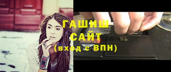 индика Новозыбков