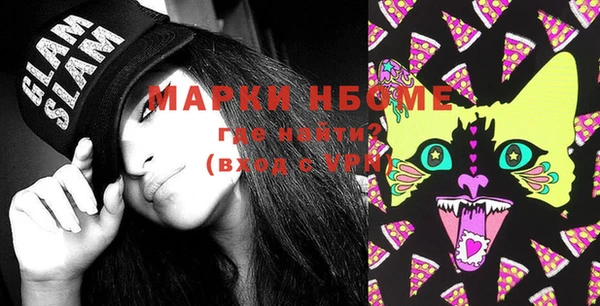 индика Новозыбков