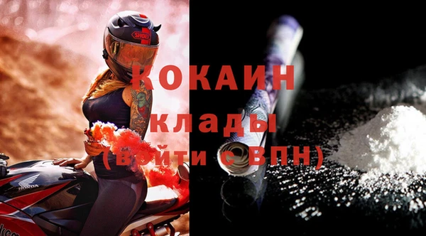 индика Новозыбков