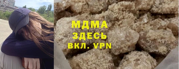 индика Новозыбков