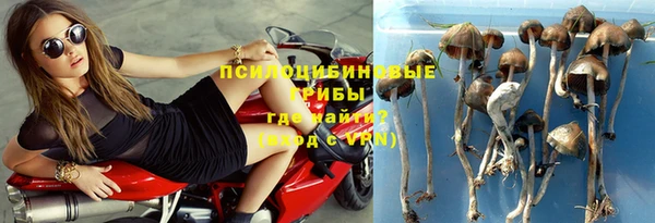 винт Новодвинск