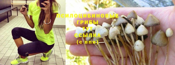эйфоретик Нефтекумск
