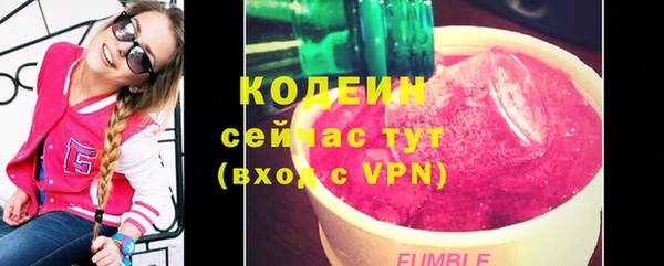 индика Новозыбков
