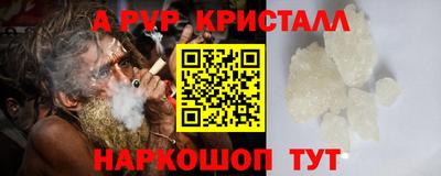 гашик Дубна
