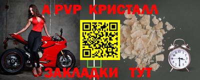 гашик Дубна