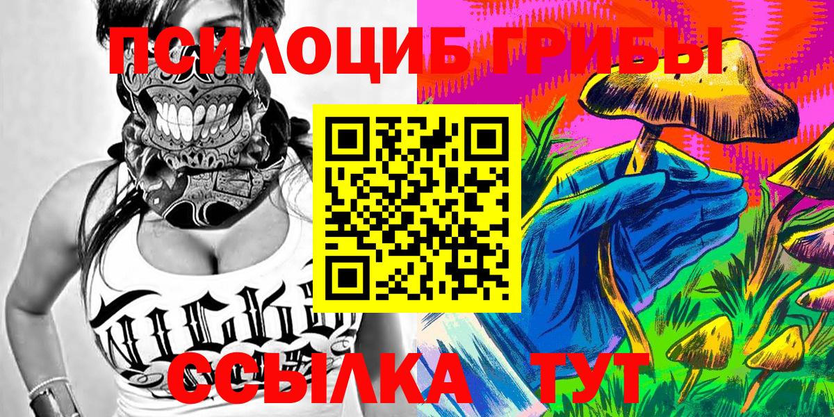 Псилоцибиновые грибы Psilocybine cubensis  купить наркотик  Мегион 