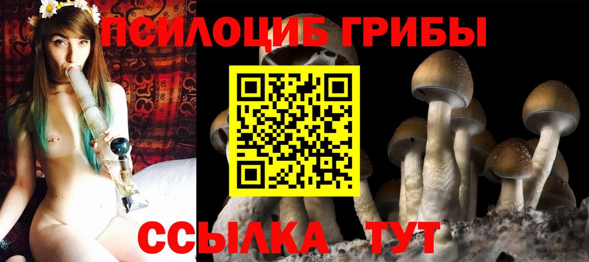 Псилоцибиновые грибы GOLDEN TEACHER Мегион